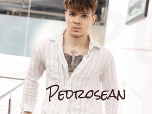 pedrosean Spicy Blogs
