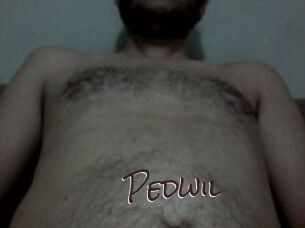 Pedwil