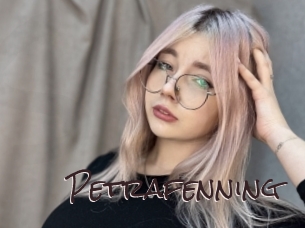 Petrafenning