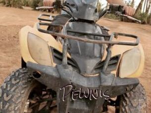 Pewnis