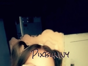 pixbunny Spicy Blogs