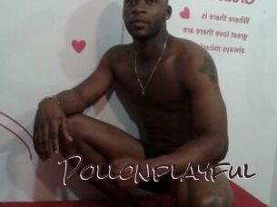 Pollonplayful