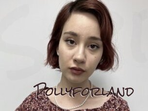 Pollyforland