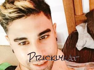 Pricklykat
