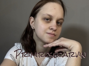 Primrosecarvin