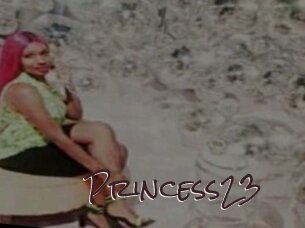 Princess23