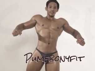 Pumebonyfit