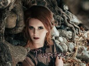 pupfox Spicy Blogs