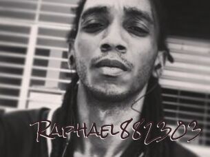 Raphael882303