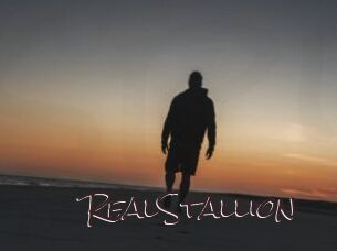 RealStallion