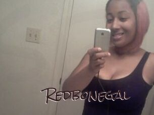 Redbonegal