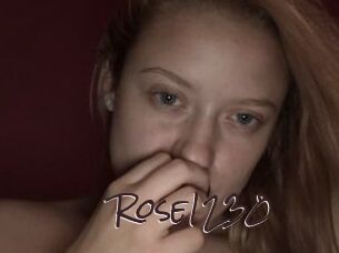 Rose1230