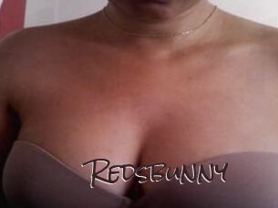 Redsbunny