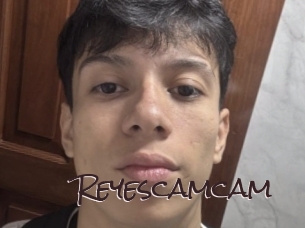 reyescamcam Spicy Blogs