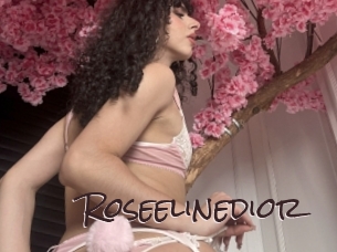 roseelinedior Spicy Blogs