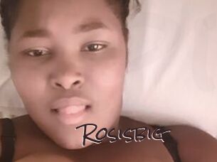 Rosisbig