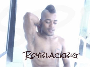 royblackbig Spicy Blogs