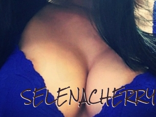 SELENACHERRY Spicy Blogs