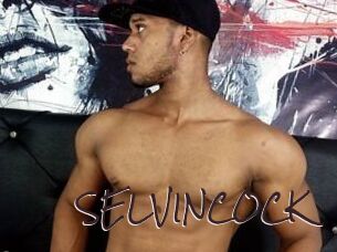 SELVINCOCK
