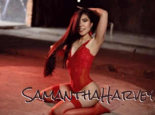 SamanthaHarvey Spicy Blogs