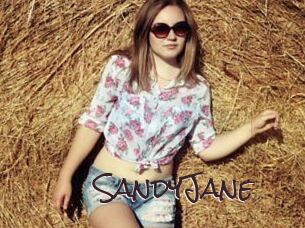 SandyJane Spicy Blogs