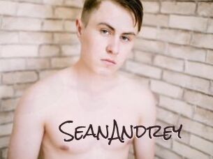 SeanAndrey