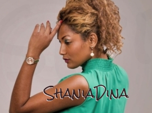 ShaniaDina Spicy Blogs