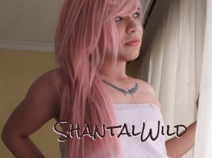 ShantalWild Spicy Blogs