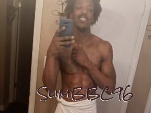 SlimBBC96