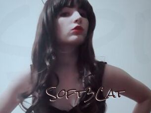 Soft3Cat