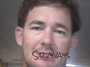 Srvyvays