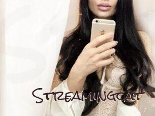 Streamingcat