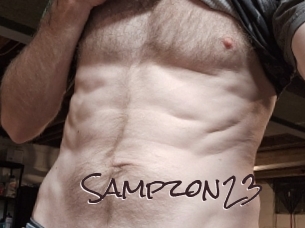 sampzon23 Spicy Blogs