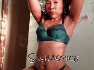 sashaspice Spicy Blogs