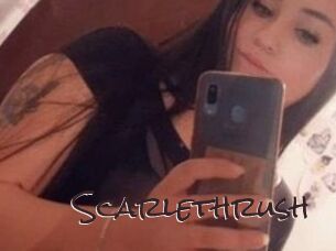 Scarlethrush