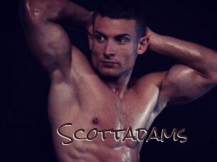Scottadams