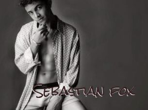 Sebastian_fox