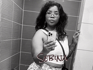 sebina Spicy Blogs