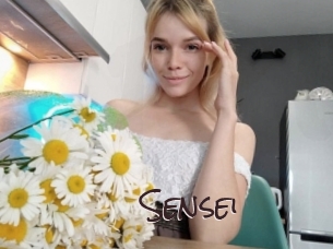 sensei Spicy Blogs