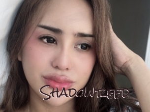 shadowreed Spicy Blogs