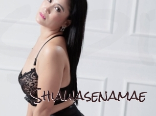 shiawasenamae Spicy Blogs