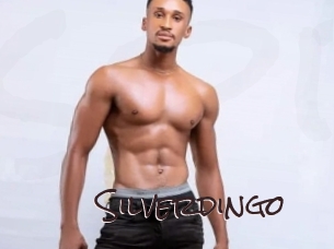 silverdingo Spicy Blogs