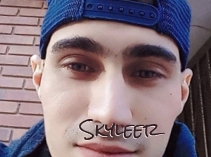 skyleer Spicy Blogs