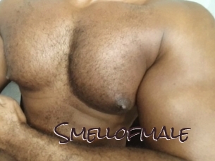 smellofmale Spicy Blogs