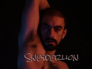 sneyderlion Spicy Blogs