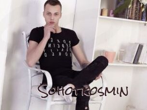Sohotkosmin