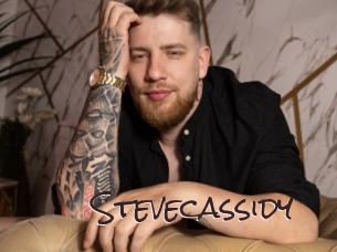 stevecassidy Spicy Blogs