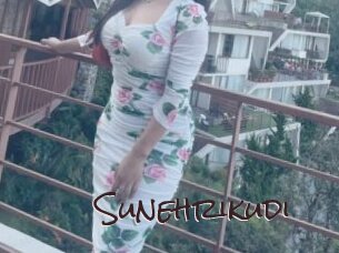 Sunehrikudi