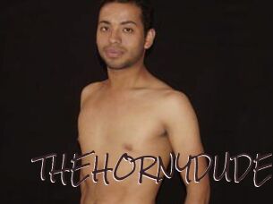 THEHORNYDUDE