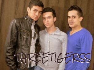 THREETIGERSS Spicy Blogs